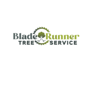 Untitled design 31 1