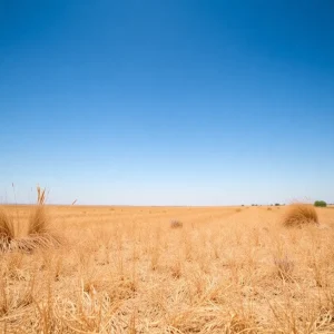 A dry Texas landscape under scorching heat