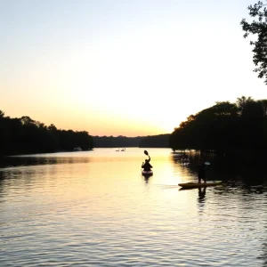 A tranquil scene of Lady Bird Lake with paddleboards and kayaks