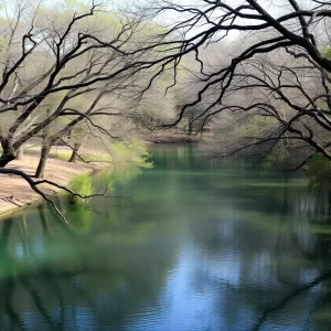 Barton Springs Park in Austin