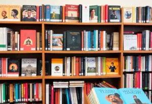A collection of diverse books in a public library