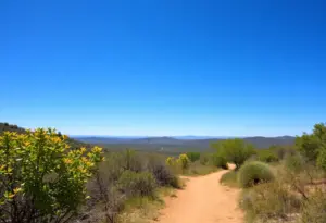 Scenic hiking trail at Government Canyon State Natural Area with clear sky