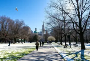 People enjoying unusually warm weather in a park during January.